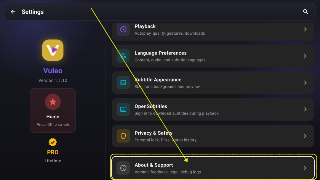 About & Support highlighted in TV Settings